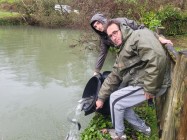 20240305 bassinage 5 reduite