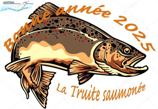 Truite fario voeux 2025 copie