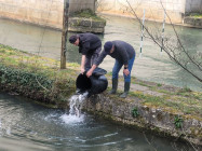 photo 7 reduite 2