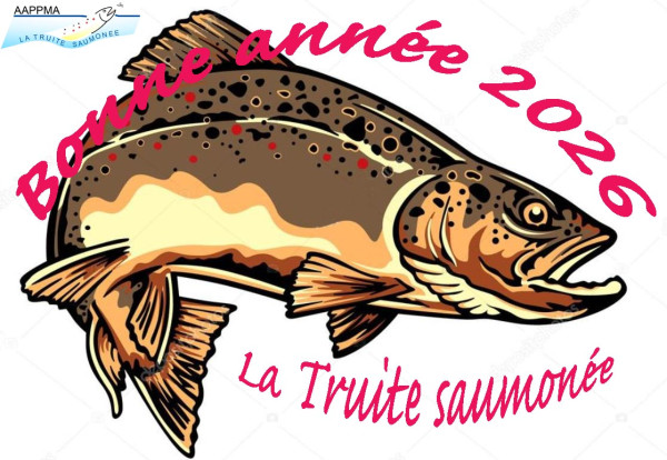 Truite fario voeux 2026