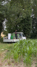 Réduit 2 Camion dépôt truite